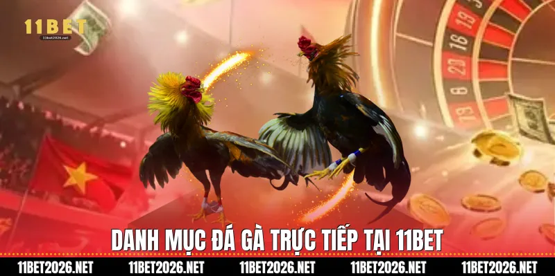 Danh mục đá gà trực tiếp tại 11Bet 